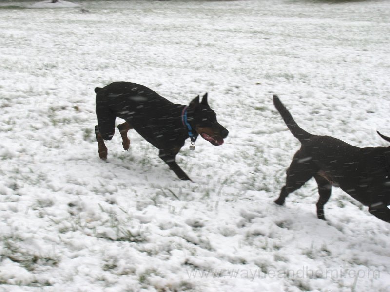2009-12_05_0015.JPG