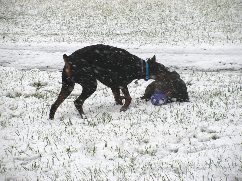 2009-12_05_0016.JPG
