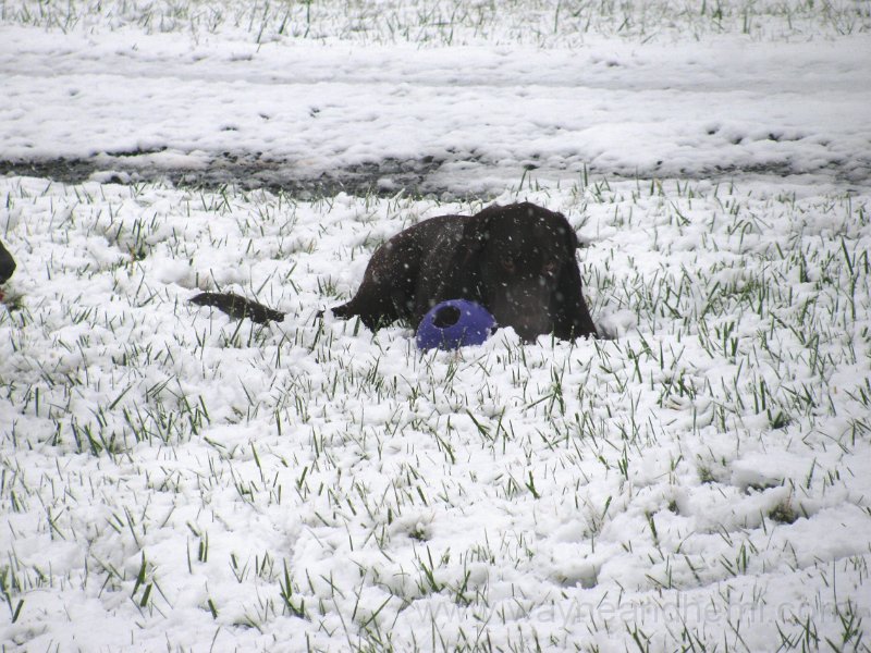 2009-12_05_0017.JPG
