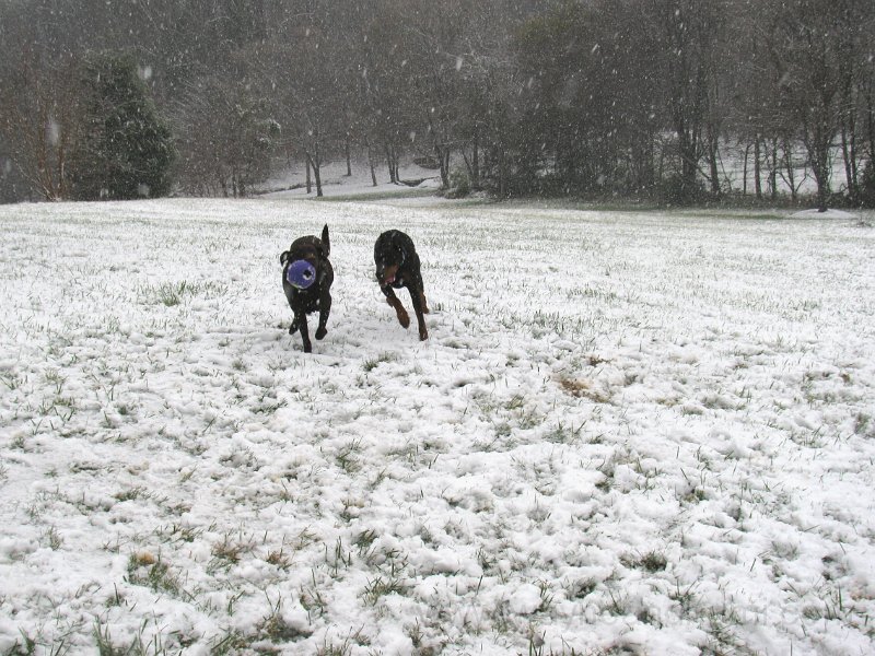 2009-12_05_0018.JPG