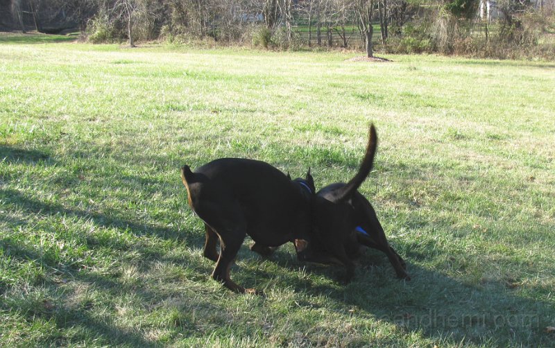 2009-12_16_0026.JPG