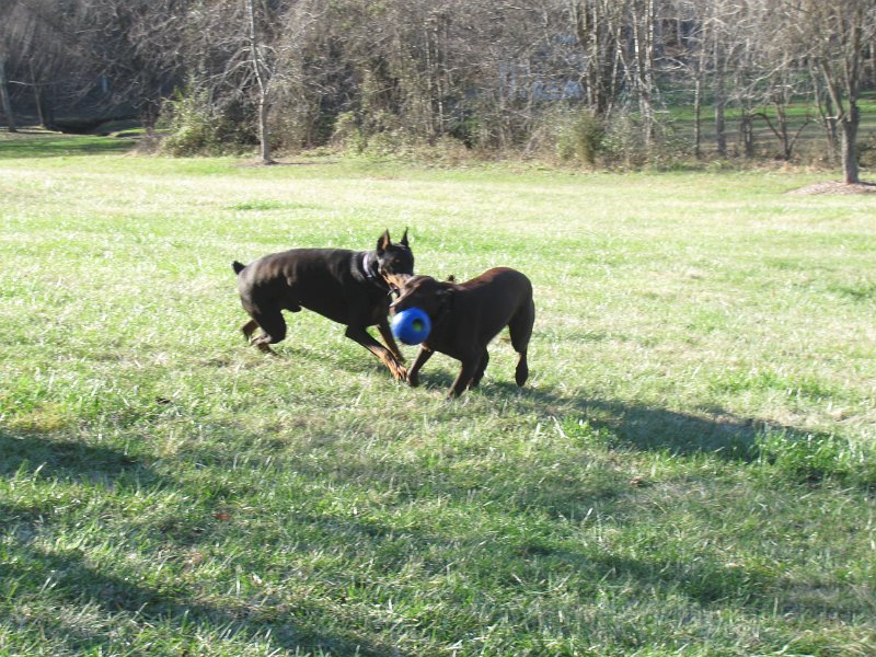 2009-12_16_0029.JPG