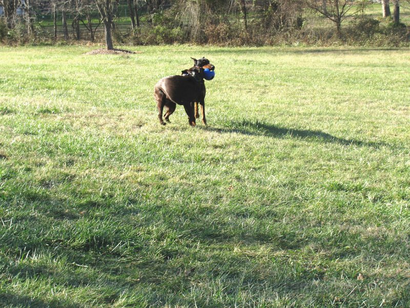 2009-12_16_0031.JPG