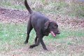 2009-12_01_0098