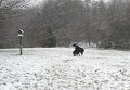 2009-12_05_0014