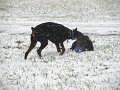 2009-12_05_0016