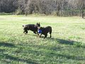 2009-12_16_0029