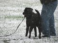 IMG_0003