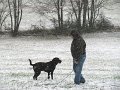 IMG_0007