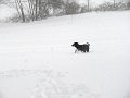 IMG_0040