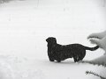 IMG_0043