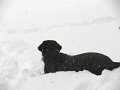 IMG_0044
