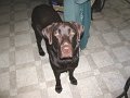 IMG_0045