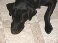 IMG_0046