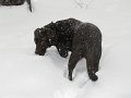 IMG_0047