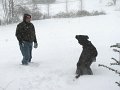IMG_0049