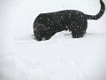 IMG_0053