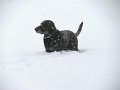 IMG_0054