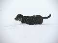IMG_0055