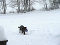 IMG_0092