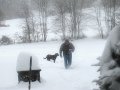 IMG_0099