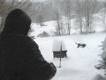 IMG_0100