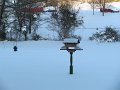 IMG_0109