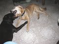 IMG_0042