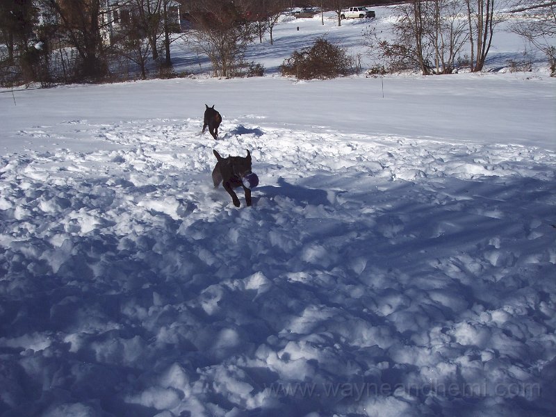 100_1828.JPG