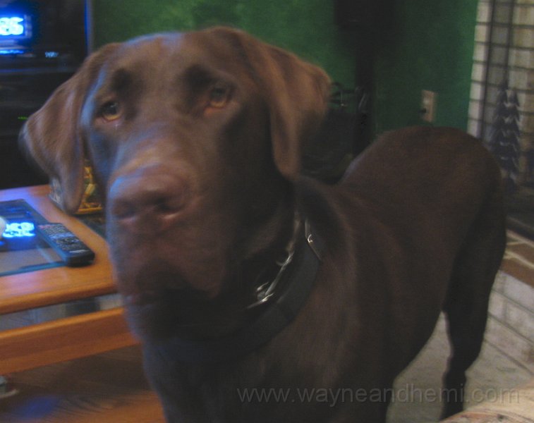 2010-06_17_0002.JPG
