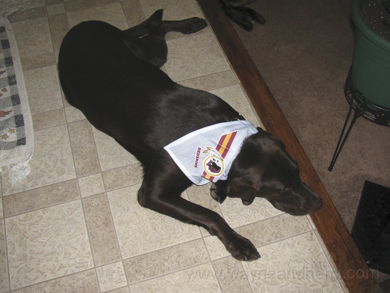 2010_07_31_0002.JPG