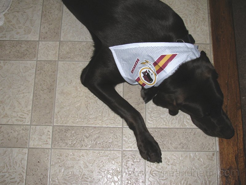 2010_07_31_0004.JPG