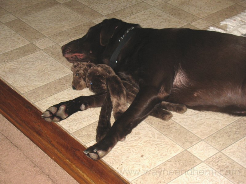 2010_07_31_0016.JPG