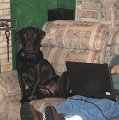 2010-01_24_0112