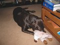 2010-03_06_0291