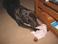 2010-03_06_0292