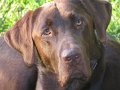 2010-06_17_0036