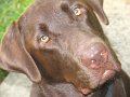 2010-06_17_0037