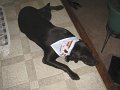 2010_07_31_0002