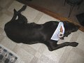 2010_07_31_0003