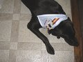 2010_07_31_0004