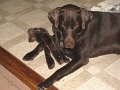 2010_07_31_0017