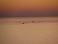 IMG_0079
