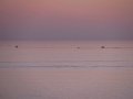 IMG_0081