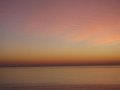 IMG_0083