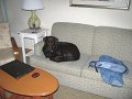 IMG_0084