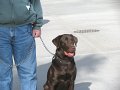 IMG_0096