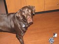 IMG_0101