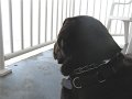 IMG_0111