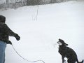 IMG_0080